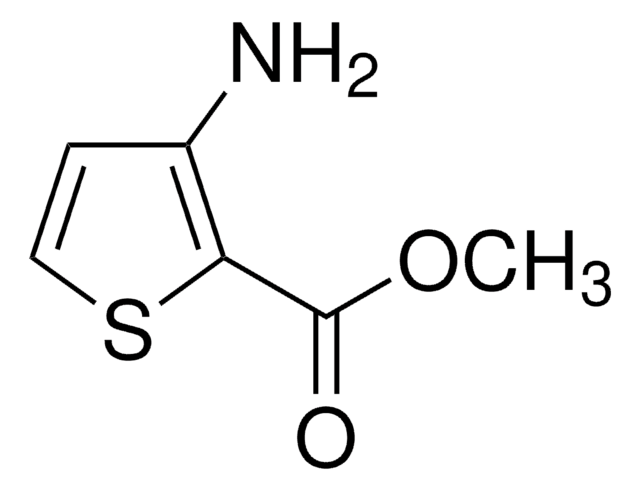 3-氨基-2-噻吩甲酸甲酯 99%