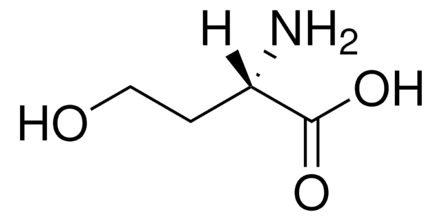 L -高丝氨酸