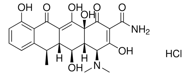 Doxycycline Hydrochloride, Ready Made Solution