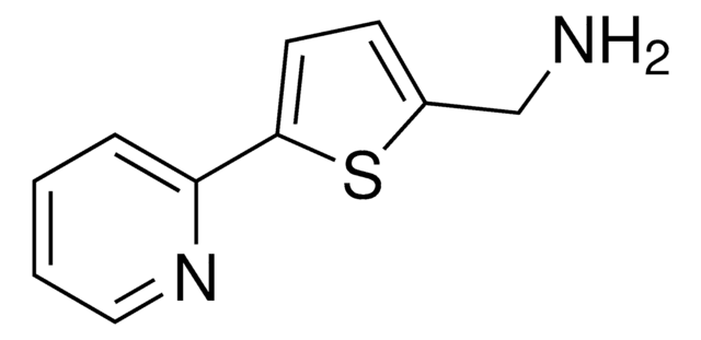 [5-(2-Pyridinyl)-2-thienyl]methanamine AldrichCPR