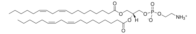 18:2 PE 1,2-dilinoleoyl-sn-glycero-3-phosphoethanolamine, chloroform