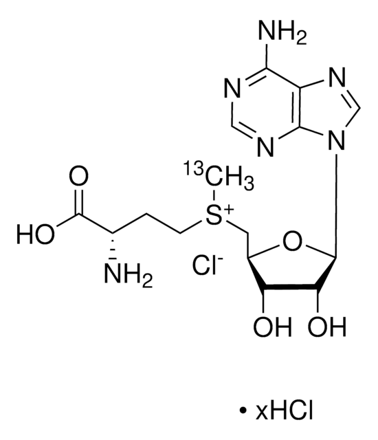 S-(5’-Adenosyl) -L-methionine-(S-methyl-13C)chloride &#8805;99 atom % (13C), &#8805;90% (CP)