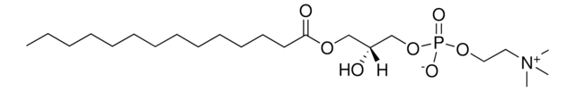 14:0 Lyso PC 1-myristoyl-2-hydroxy-sn-glycero-3-phosphocholine, powder
