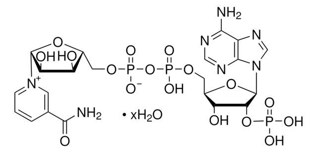 &#946;-Nicotinamide adenine dinucleotide phosphate hydrate