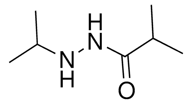 N'-isopropyl-2-methylpropanohydrazide AldrichCPR