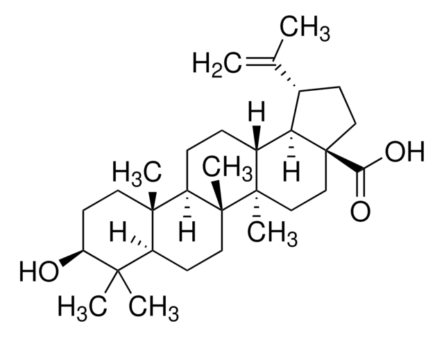 白桦脂酸 &#8805;98% (HPLC)
