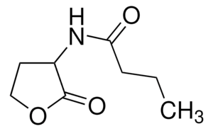 N-Butyryl-DL-homoserine lactone ≥96.0% (HPLC)