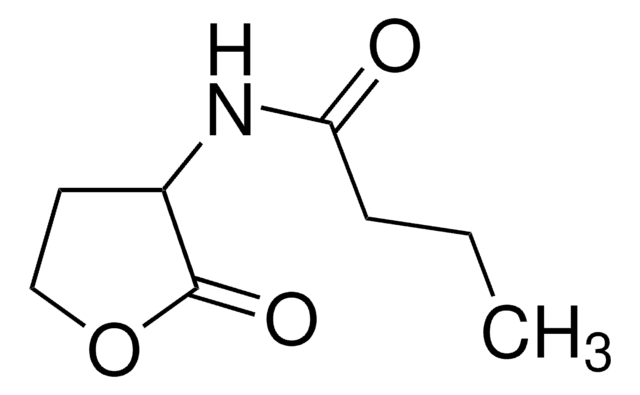 正丁酰基-DL-高丝氨酸内酯 &#8805;96.0% (HPLC)