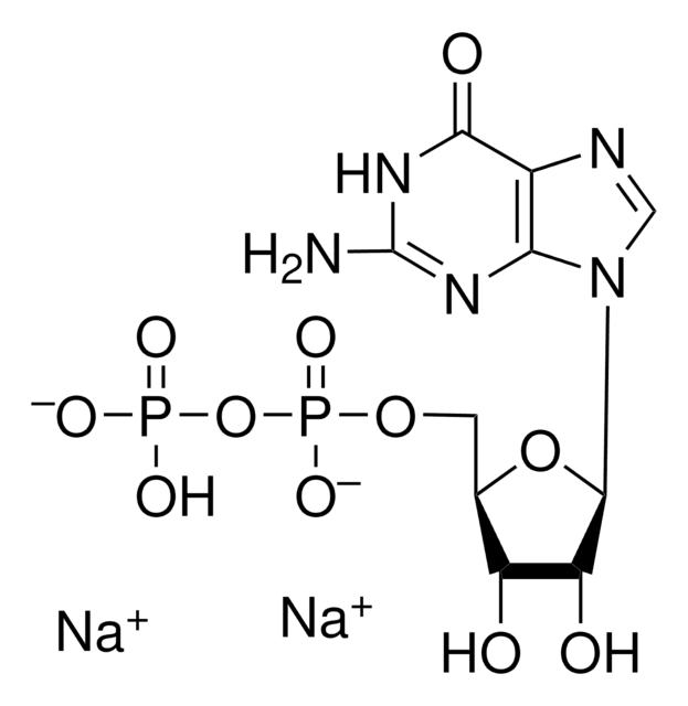 Guanosine 5&#8242;-diphosphate disodium salt &#8805;90% (HPLC)