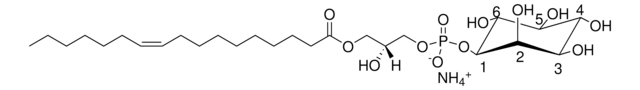 莱索托时间 17:1 1-(10Z-heptadecenoyl)-2-hydroxy-sn-glycero-3-phospho-(1&#8242;-myo-inositol) (ammonium salt), powder