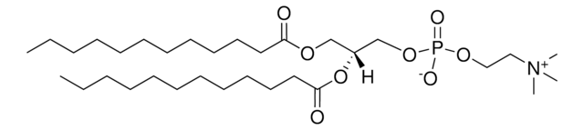12:0 PC (DLPC) 1,2-dilauroyl-sn-glycero-3-phosphocholine, chloroform