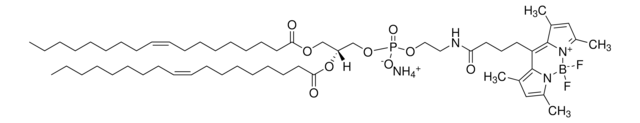 18:1 TopFluor&#174; PE 1,2-dioleoyl-sn-glycero-3-phosphoethanolamine-N-[(dipyrromethaneboron difluoride)butanoyl], powder