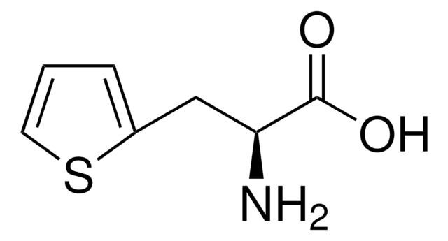 3-(2-噻吩基)-L-丙氨酸 &#8805;98.0% (TLC)