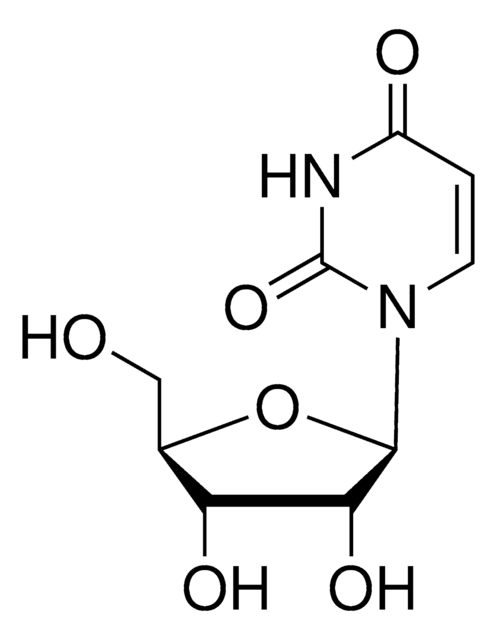 尿核甙 powder, BioReagent, suitable for cell culture