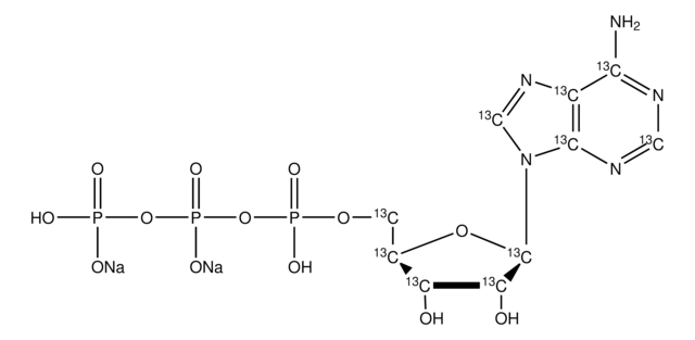 Adenosine-13C10 5&#8242;-triphosphate disodium salt solution 100&#160;mM (in 5mM Tris HCl / H2O), &#8805;98 atom % 13C, &#8805;95% (CP)