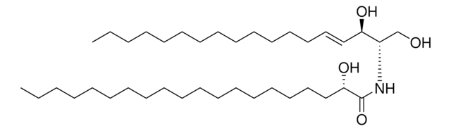 20:0(2S-OH) Ceramide Avanti Polar Lipids 860820P, powder