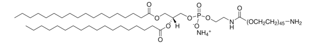 DSPE-PEG(2000) Amine Avanti Polar Lipids 880128P, powder