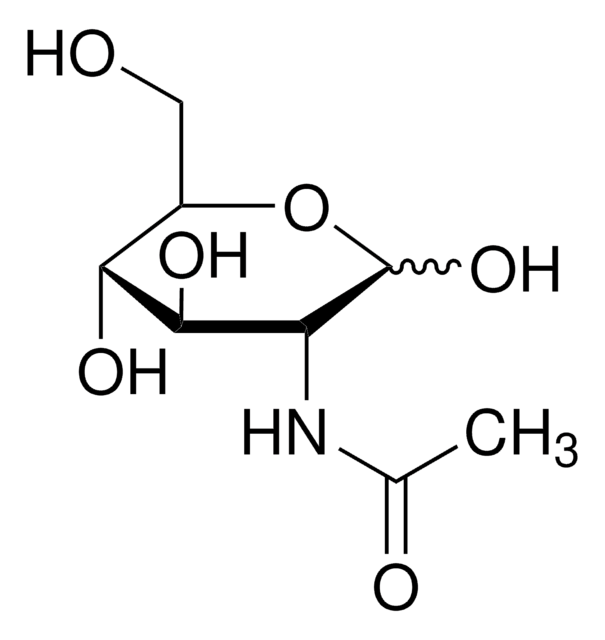 N -乙酰基- D -氨基葡萄糖 suitable for cell culture, BioReagent