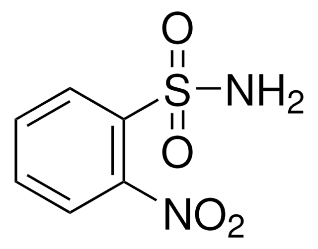 2-Nitrobenzenesulfonamide 98%