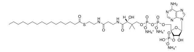 16：0辅酶A Avanti Polar Lipids 870716P, powder