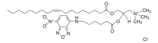 Fluorescent DOTAP 1-oleoyl-2-[6-[(7-nitro-2-1,3-benzoxadiazol-4-yl)amino]hexanoyl]-3-trimethylammonium propane (chloride salt), powder