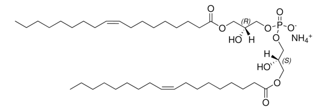 18:1 BMP (S,R) bis(monooleoylglycero)phosphate (S,R Isomer) (ammonium salt), powder