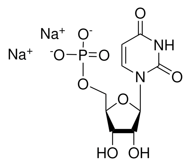 Uridine 5&#8242;-monophosphate disodium salt &#8805;99%