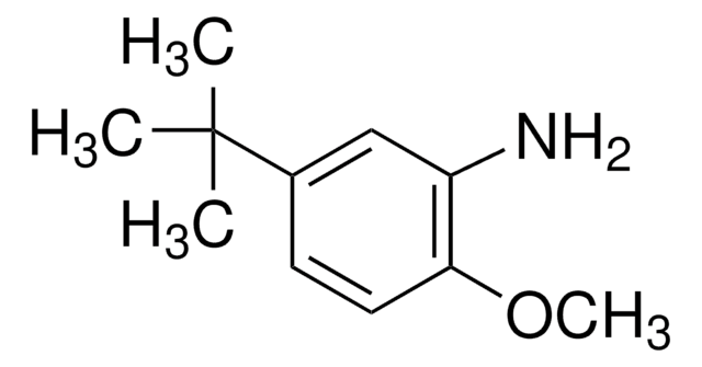 5-叔丁基-邻茴香胺 97%