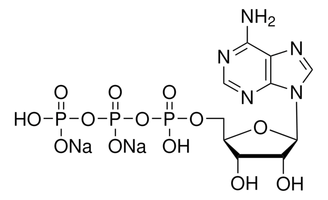 Adenosine 5&#8242;-triphosphate disodium salt solution Crystalline ATP, HPLC purified, aqueous solution for RNA transcription