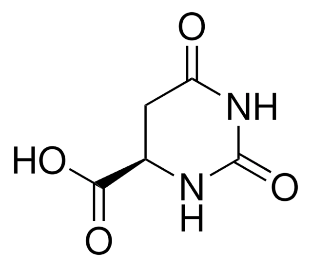 D-氢化乳清酸 98%