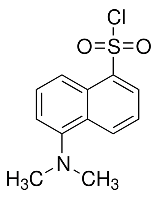 Dansyl Chloride Reagent used for fluorescent labeling of proteins, N-terminal amino acids, and amines.
