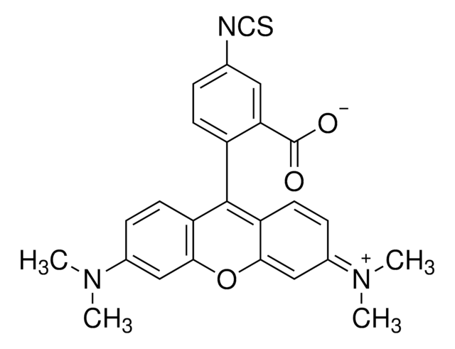 四甲-5-异硫氰酸酯