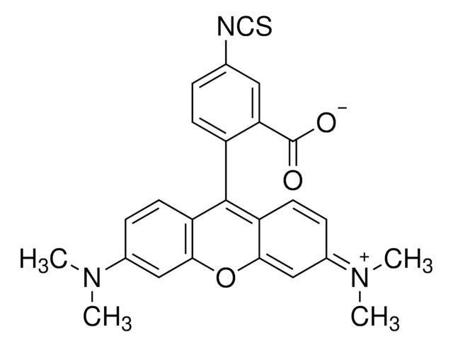 Tetramethylrhodamine-5-isothiocyanate