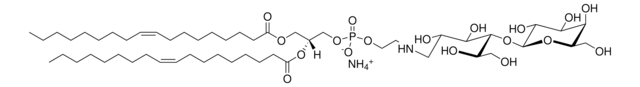 18:1 Lactosyl PE 1,2-dioleoyl-sn-glycero-3-phosphoethanolamine-N-lactosyl (ammonium salt), powder