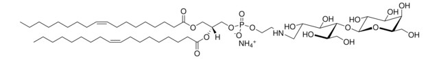 18:1 Lactosyl PE Avanti Polar Lipids