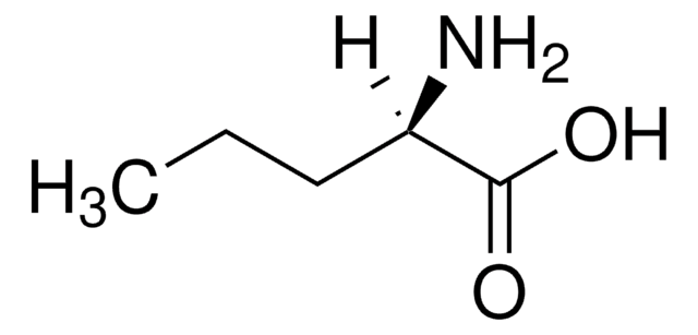 D -正缬氨酸 99%