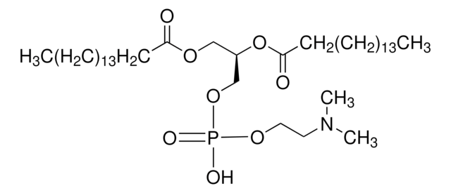 1,2-Dipalmitoyl-sn-glycero-3-phospho-N,N-dimethylethanolamine ~98%