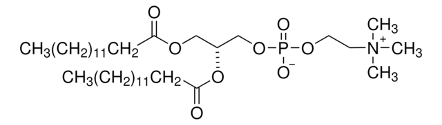 1，2-二肉豆蔻酰基-sn-甘油-3-磷酸胆碱 &#8805;99%