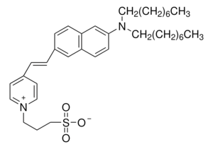 4-(2-[6-(二辛基氨基)-2-萘基]乙烯基)-1-(3-磺丙基)吡啶鎓 内盐 ≥95% (HPLC), solid