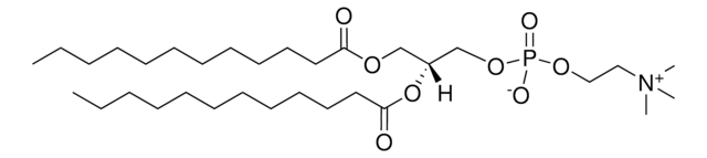 12:0 PC (DLPC) Avanti Polar Lipids