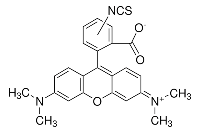 异硫氰酸四甲基罗丹明混合异构体 suitable for fluorescence, mixture of isomers