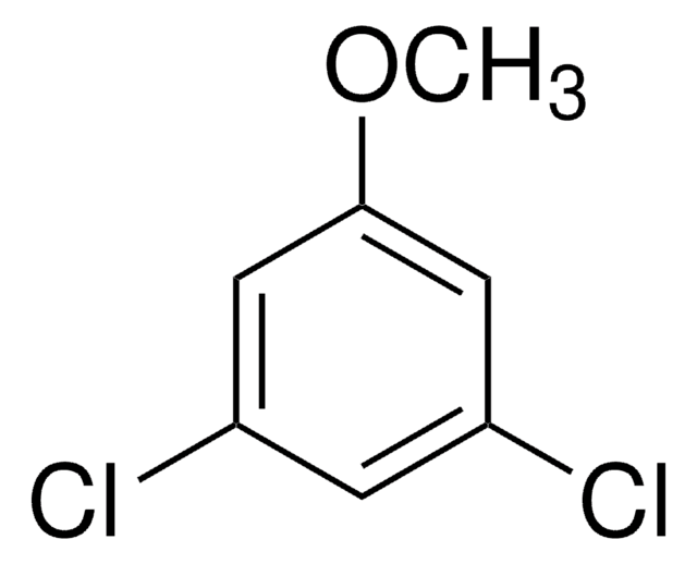 3,5-二氯苯甲醚 98%
