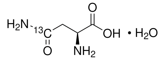 L-天冬酰胺-4-13C 一水合物 99 atom % 13C