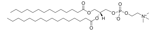 14:0-16:0 PC 1-myristoyl-2-palmitoyl-sn-glycero-3-phosphocholine, chloroform