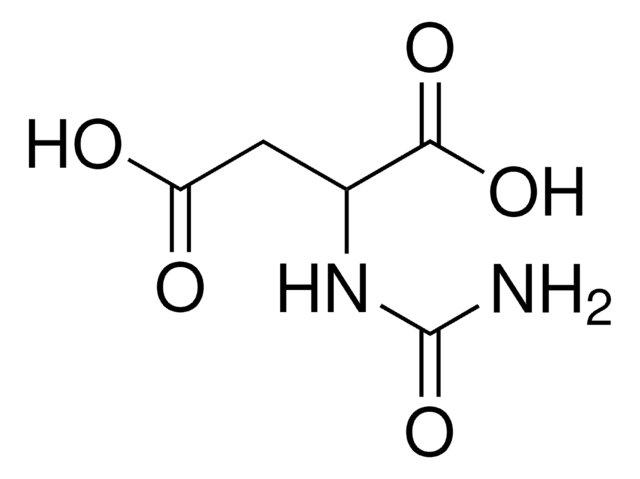 DL-脲基琥珀酸 98.0-102.0% (T)