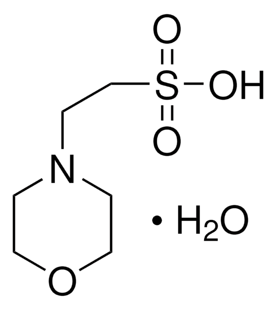 MES 一水合物 BioUltra, for molecular biology, &#8805;99.5% (T)