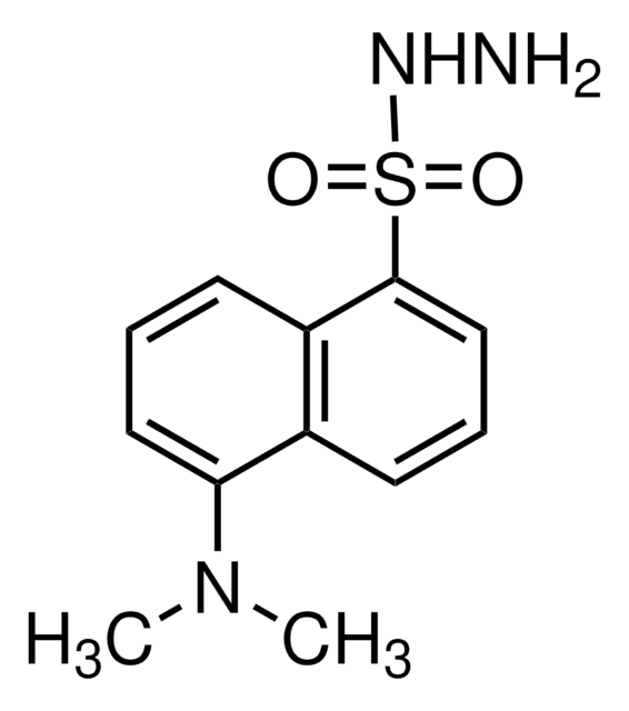 丹磺酰肼 98%