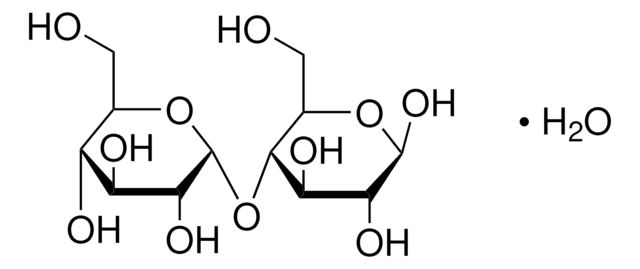 D -(+)-麦芽糖 一水合物 Type II, &#8805;95%