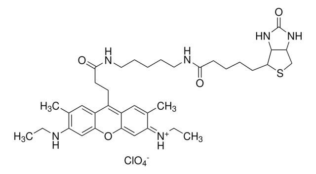 Atto 520-Biotin BioReagent, suitable for fluorescence, &#8805;90% (HPLC)