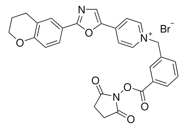 1-[3-(Succinimidyloxycarbonyl)benzyl]-4-[2-(3,4-dihydro-2H-1-benzopyran-6-yl)-5-oxazolyl]pyridinium bromide BioReagent, suitable for fluorescence, &#8805;90% (coupling to amines)